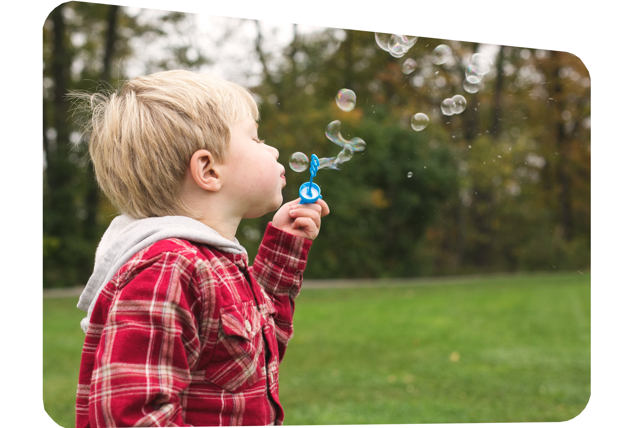 What makes Bloomwell special?